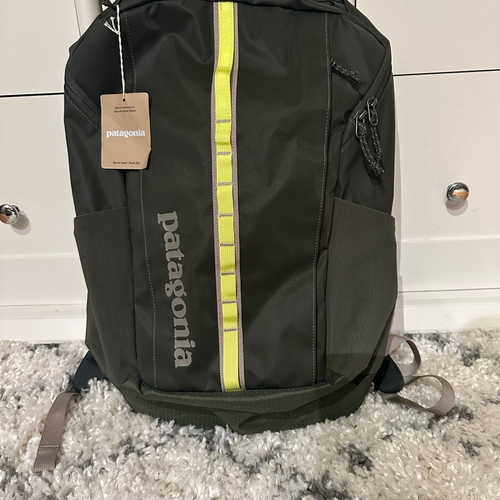 Patagonia Black Hole® Pack 25L in Needle Needle Green
